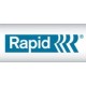 Rapid