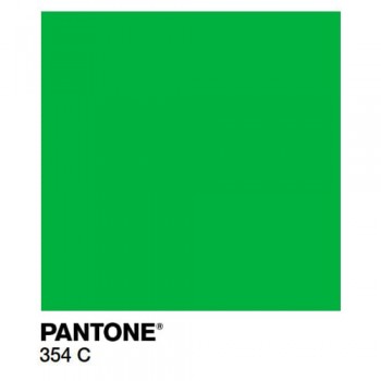 Краска Спика ТП-354 С Pantone, Пластизолевая, кроющая, по синтетике, Зеленая Краска Спика ТП-354 С Pantone, Пластизолевая, кроющая, по синтетике, Зеленая