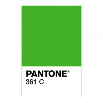 Краска Спика ТП-361 С Pantone, Пластизолевая, кроющая, по синтетике, Зеленая Краска Спика ТП-361 С Pantone, Пластизолевая, кроющая, по синтетике, Зеленая
