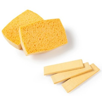 Губки (SPONGES) Губки (SPONGES)